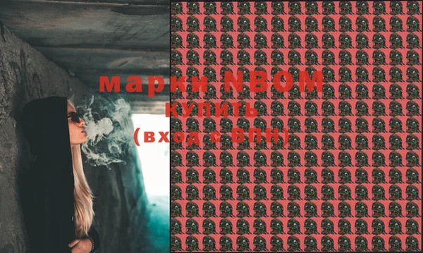 ECSTASY Няндома